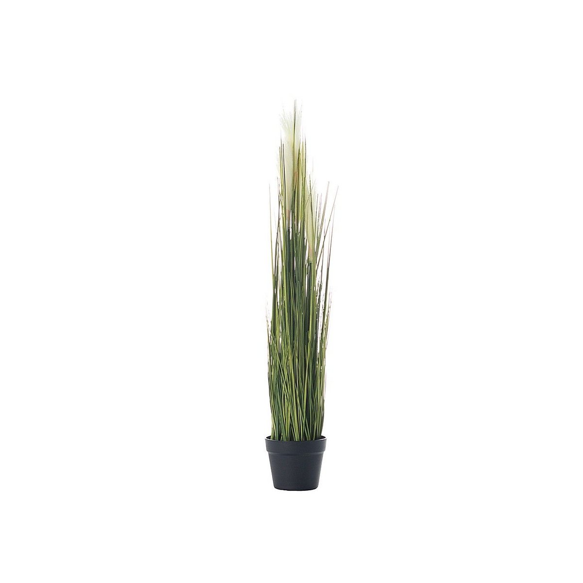 Dekoria.pl Dekoria.pl Dekoracja roślinna Pampas Grass 100cm 100 cm 814-052