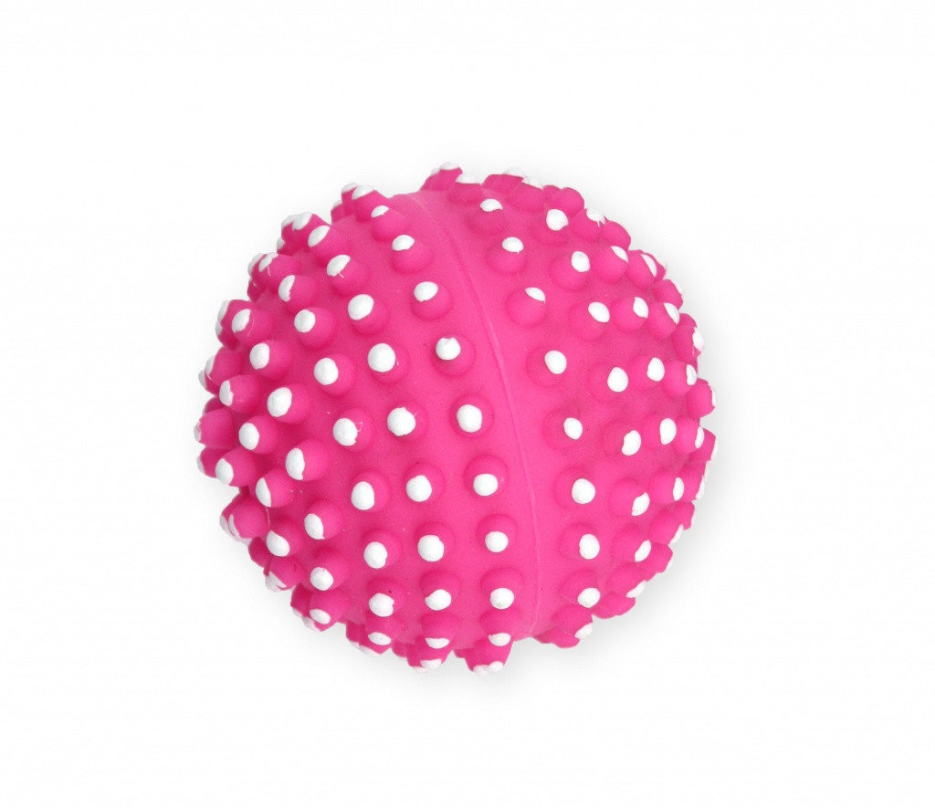 PET NOVA PET NOVA Vin Dentball Pink XS 6.5cm