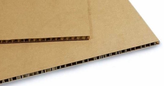 Plaster miodu 1200x800x20mm oko 10mm, Testliner