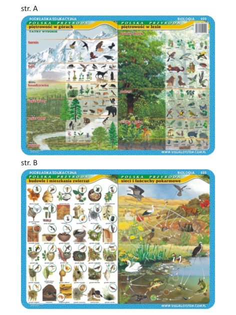 Visual System Podkładka na biurko Polska przyroda, VISUAL SYSTEM