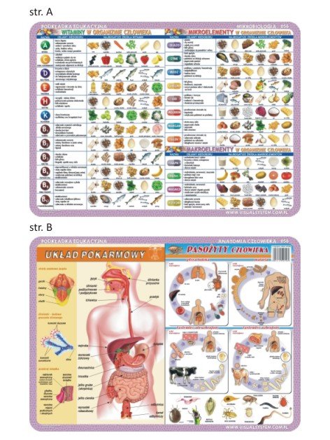 PASO Podkładka edukacyjna Pasożyty człowieka układ pokarmowy witaminy mikro makroelementy VISU003