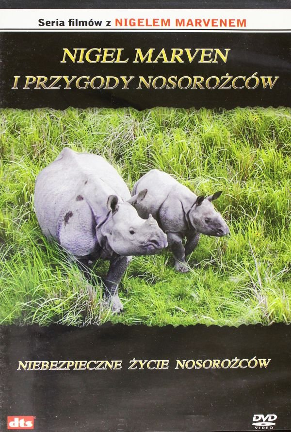 Niebezpieczne życie nosorożców