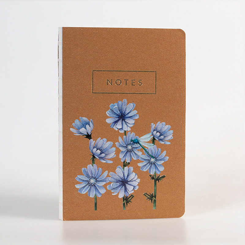 greenmink.pl Notes Kwiaty Polskie Cykoria KPL 6