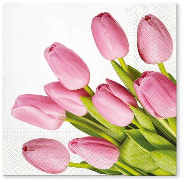 KPL.20 SERWETEK PAPIEROWYCH 33X33CM (TL703600)