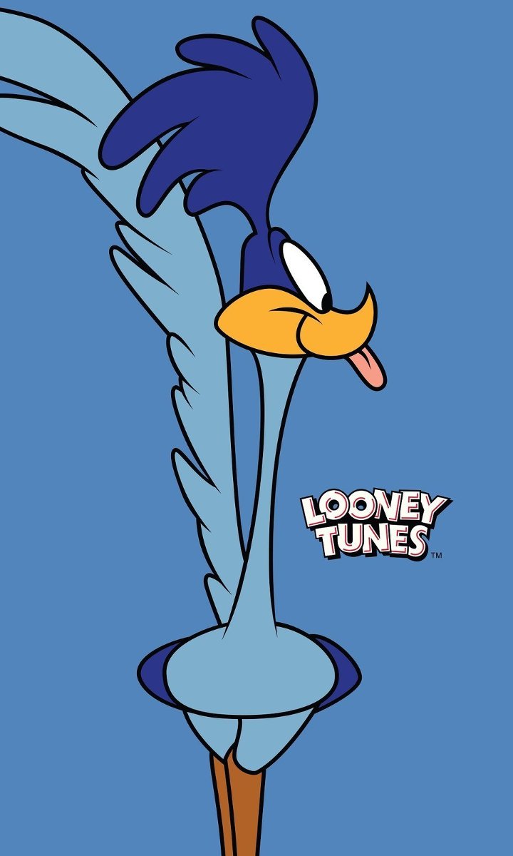 Ręcznik dziecięcy Road Runner, 30 x 50 cm