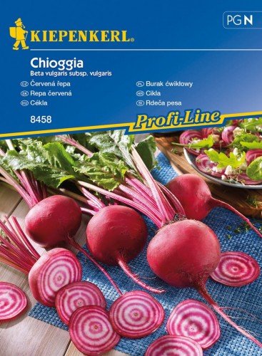 Kiepenkerl Burak ćwikłowy Chioggia Beta vulgaris var vulgaris 102292