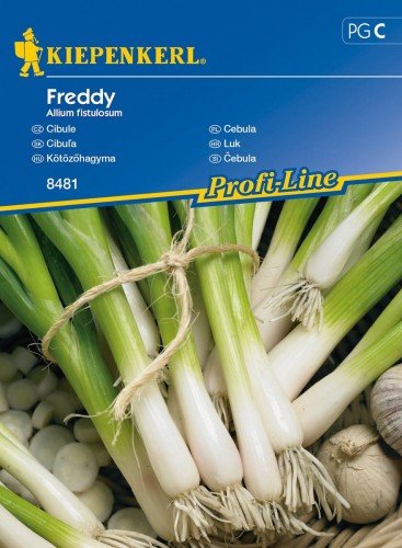Kiepenkerl Cebula Freddy Allium fistulosum 102294