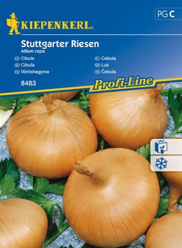 Kiepenkerl Cebula Stuttgarter Riesen Allium cepa 102295