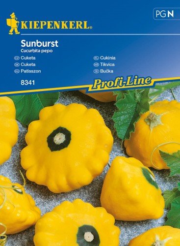 Kiepenkerl Cukinia Sunburst Cucurbita pepo 102298