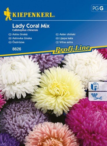 Kiepenkerl Aster chiński Lady Coral Mix Callistephus chinensis 102284