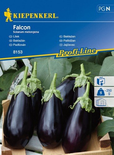 Kiepenkerl Bakłażan Falcon F1 Solanum melongena 102286