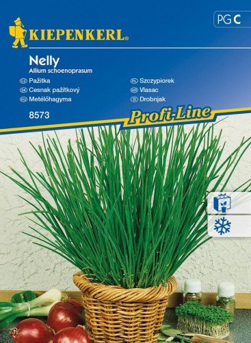 Kiepenkerl Szczypiorek Nelly Allium schoenoprasum 102378