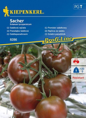 Kiepenkerl Pomidor sałatkowy Sacher F1 Solanum lycopersicum 102386