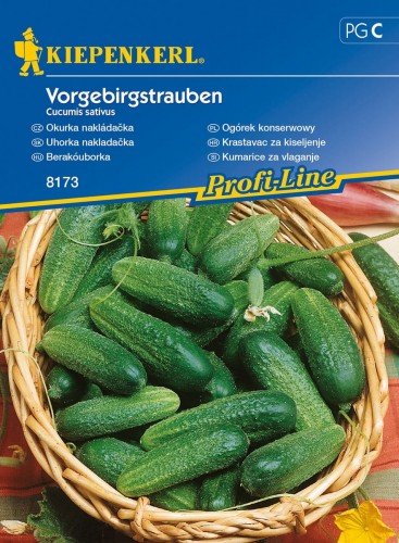 Kiepenkerl Ogórek konserwowy Vorgebirgstrauben Cucumis sativus 102341