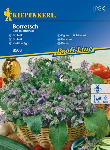 Kiepenkerl Ogórecznik lekarski jednoroczny Borago officinalis 102347