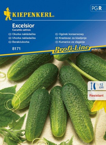 Kiepenkerl Ogórek konserwowy Excelsior F1 Cucumis sativus 102349