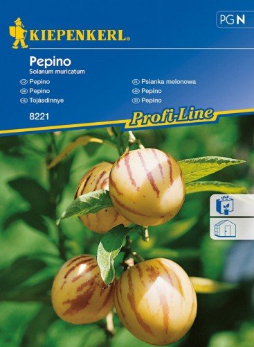 Kiepenkerl Psianka melonowa Pepino Solanum muricatum 102360