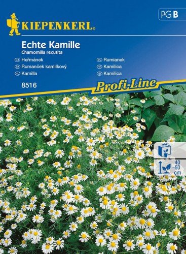 Kiepenkerl Rumianek Matricaria chamomilla 102365
