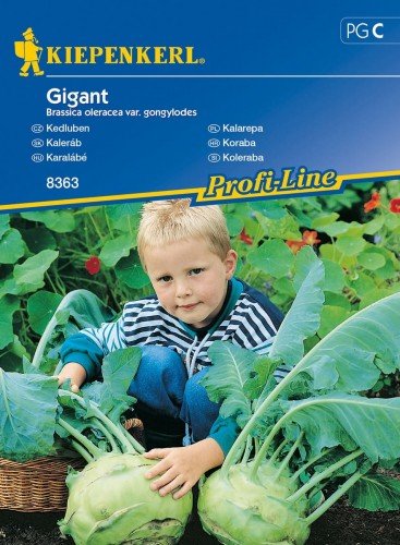 Kiepenkerl Kalarepa Gigant Brassica oleracea var gongylodes 102321