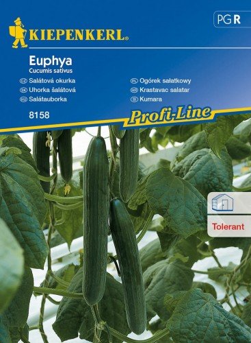 Kiepenkerl Ogórek sałatkowy F1 Euphya Cucumis sativus 102333