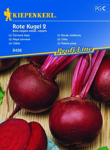 Kiepenkerl Burak Ćwikłowy Rote Kugel 2 Kiepenkerl 101221