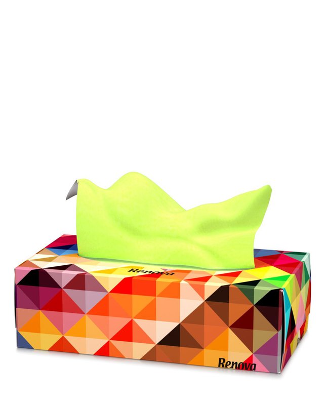 Chusteczki higieniczne Renova Two color 80szt