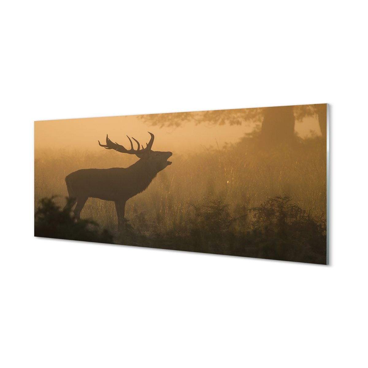 Panel szkło hartowane Jeleń wschód słońca 125x50 cm