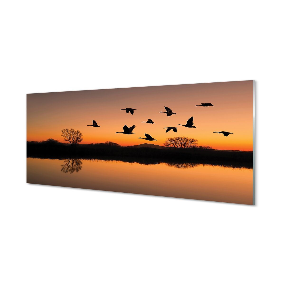 Szklany panel Lecące ptaki zachód słońca 125x50 cm