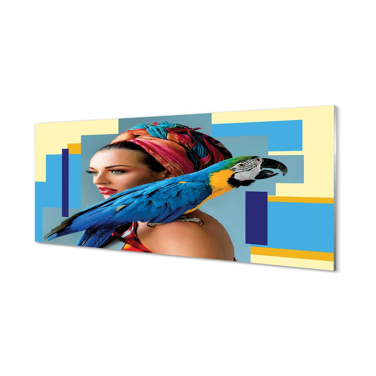 Panel szklany foto grafika Ara na ramieniu 125x50 cm