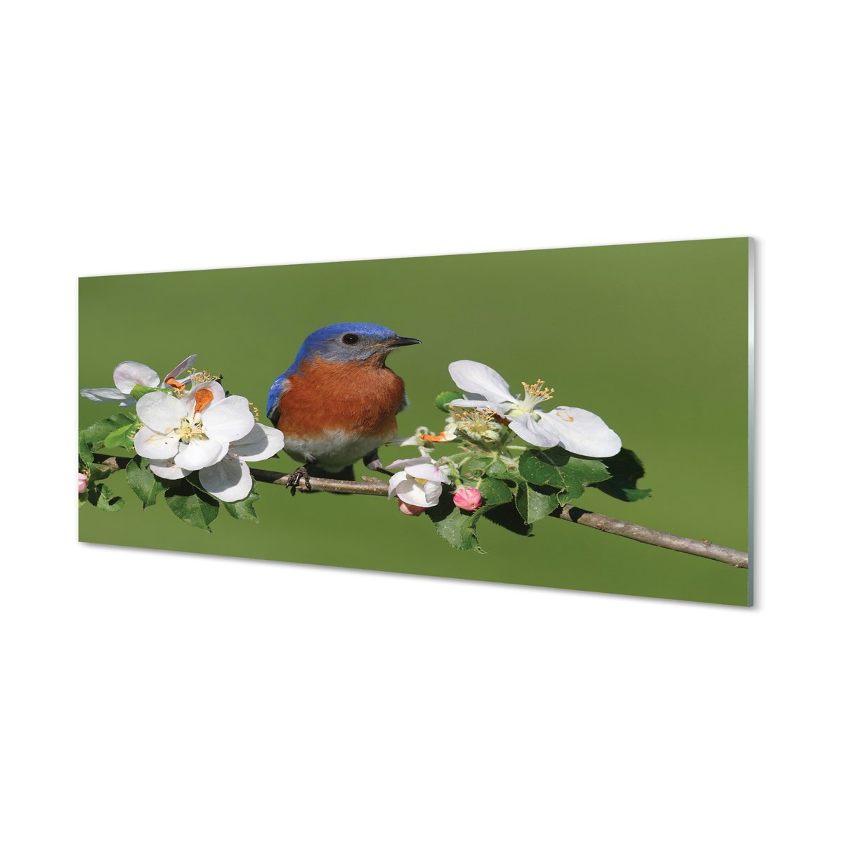 Panel szklany + klej Kwiaty kolorowa papuga 125x50 cm