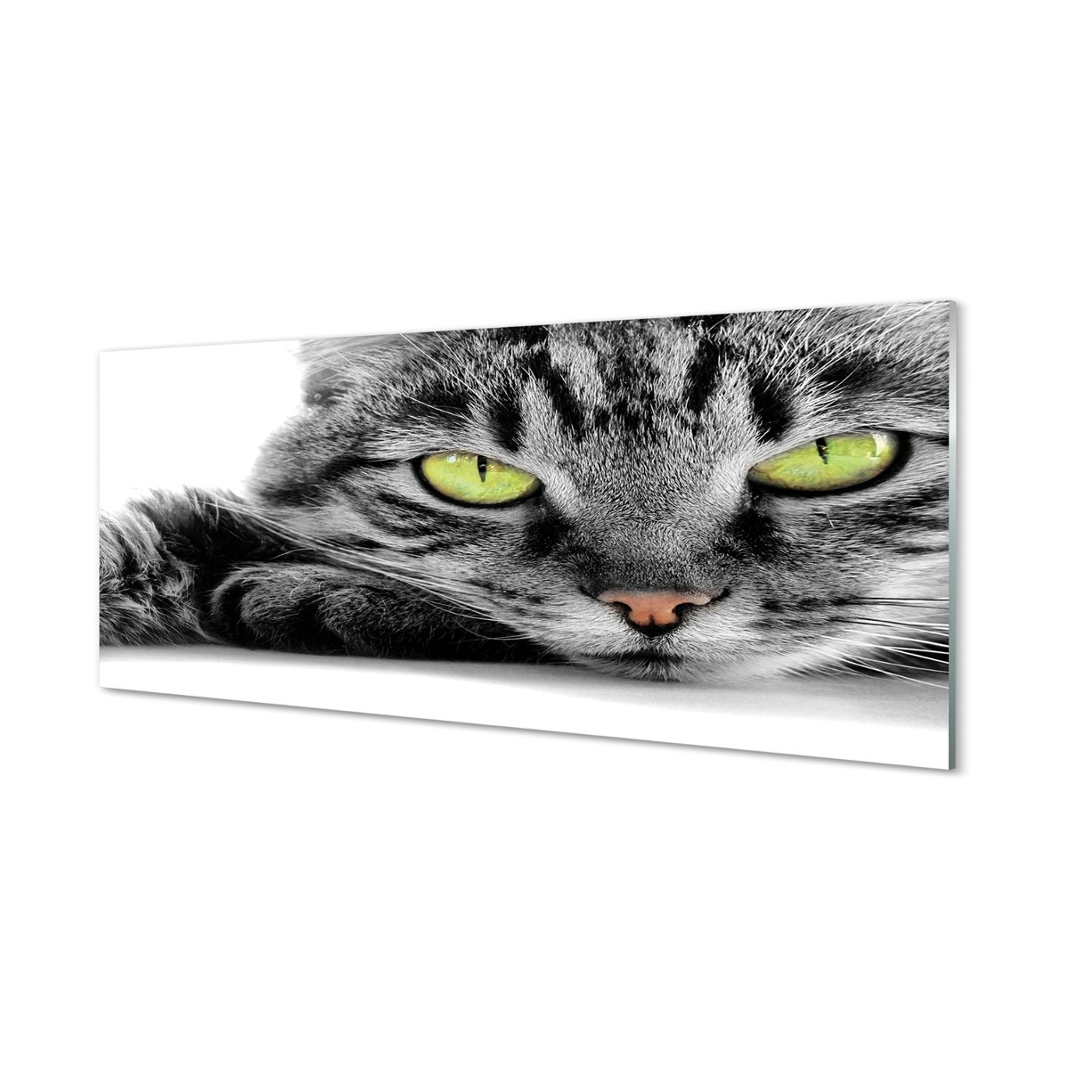 Ścienny panel dekoracyjny Szaro-czarny kot 125x50 cm