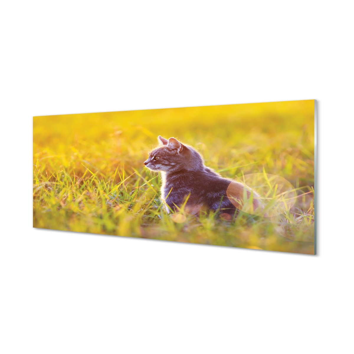 Ścienny panel kuchenny + klej Polujący kot 125x50 cm