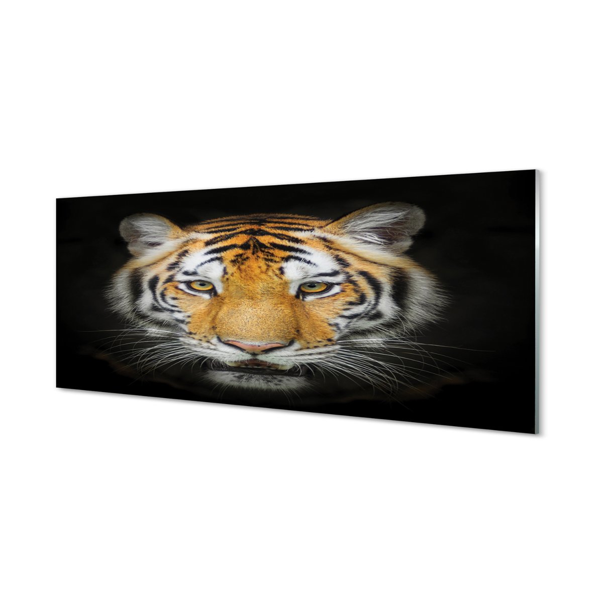 Foto panel kuchenny z grafiką + klej Tygrys 125x50 cm