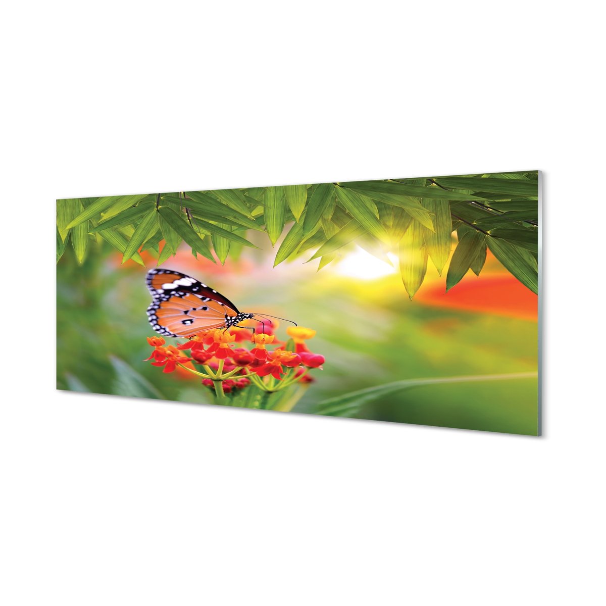 Panel szklany + klej Kolorowy motyl kwiaty 125x50 cm