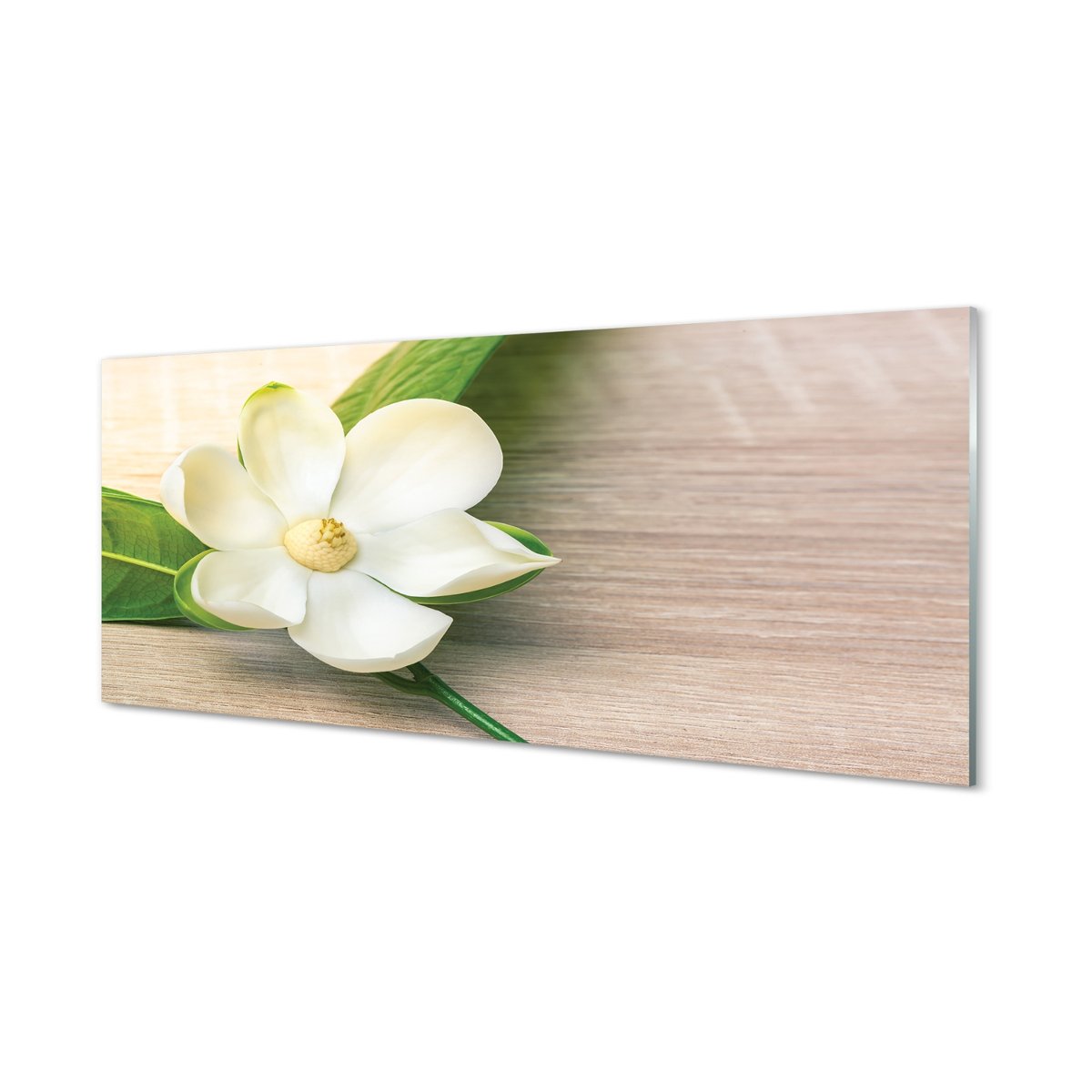 Panel szklany klej Biała magnolia 125x50 cm