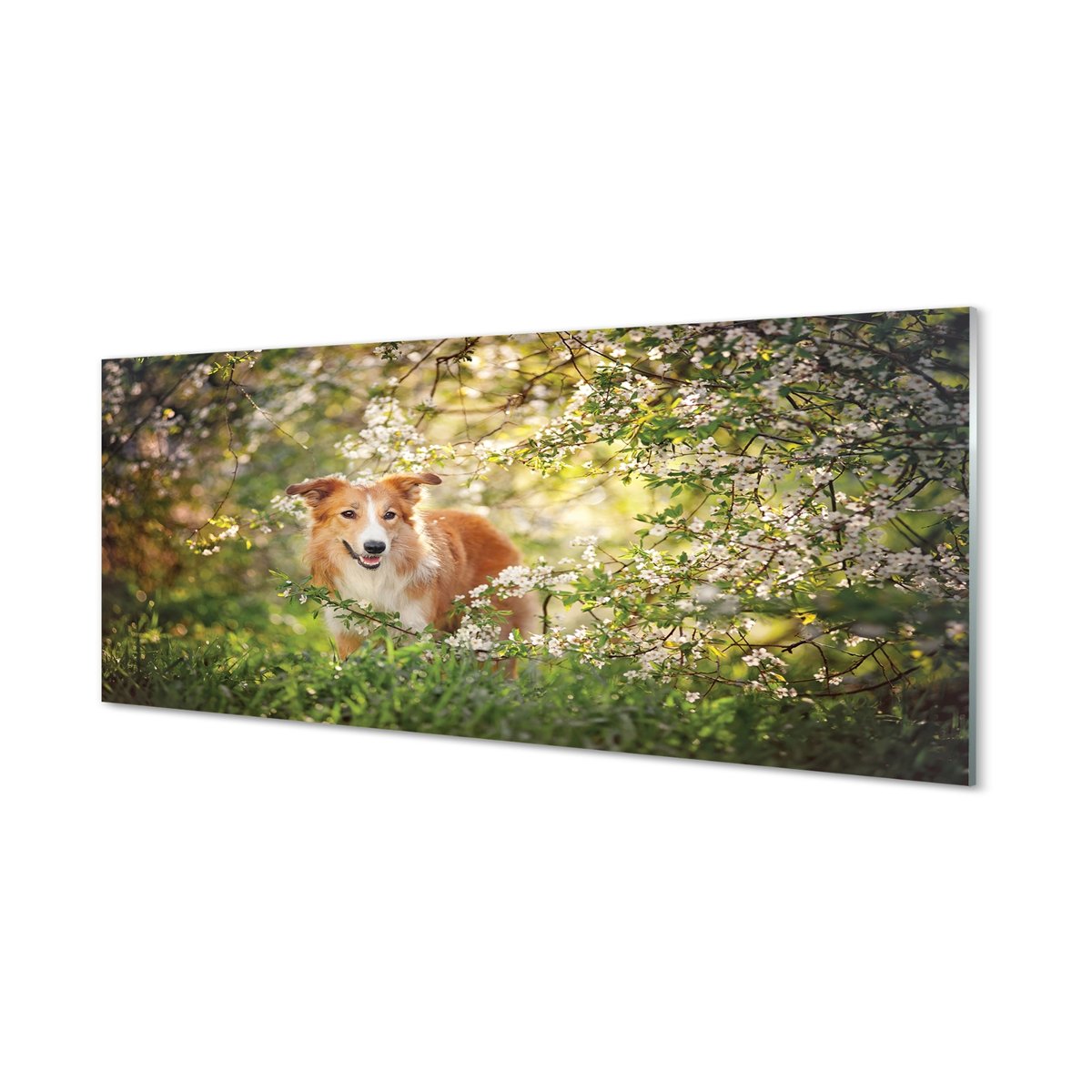Panel szklany klej Pies las kwiaty 125x50 cm