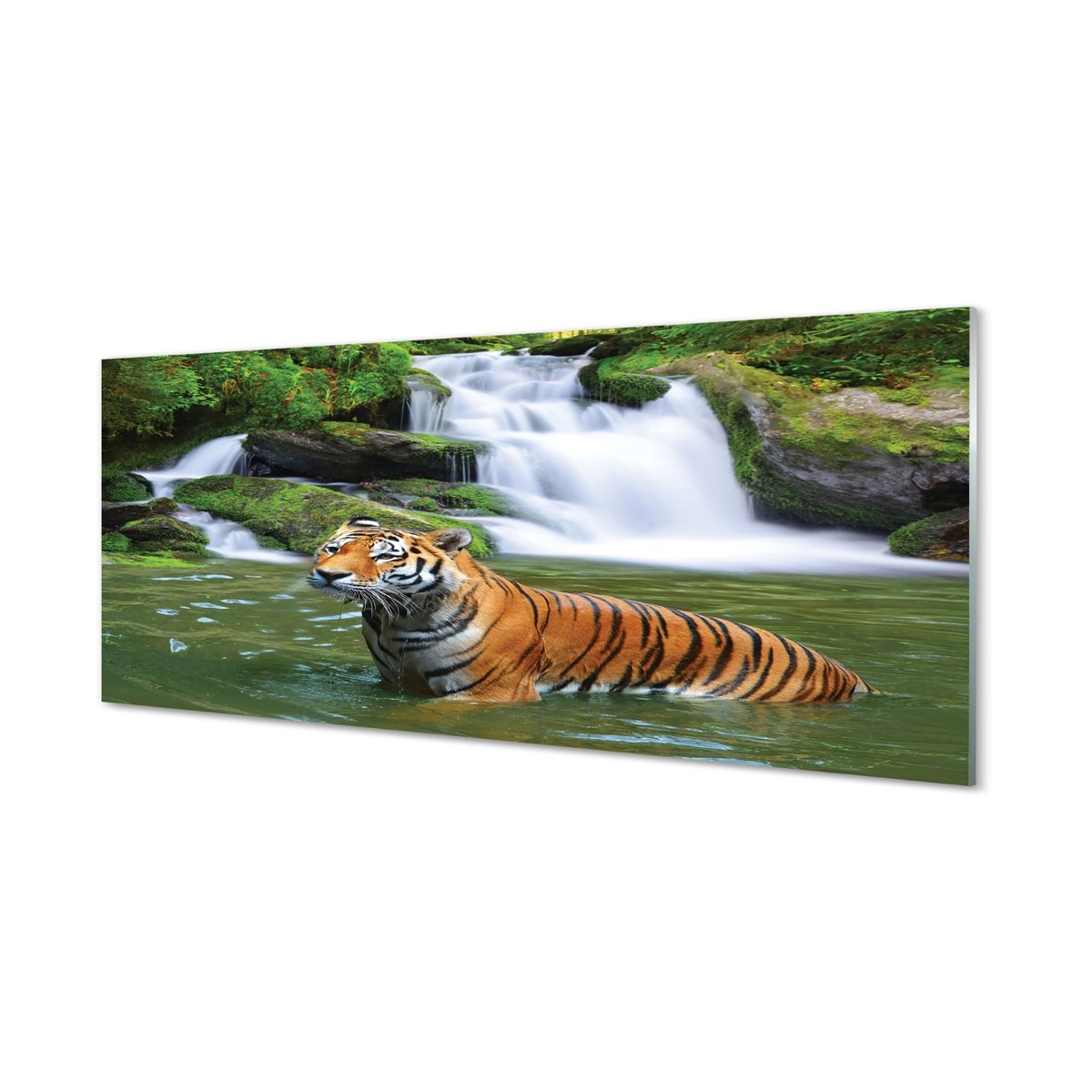 Szklany panel ochronny Tygrys wodospad 125x50 cm