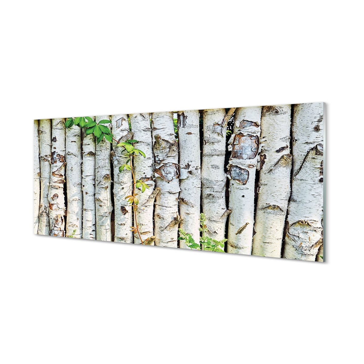 Szkło bezpieczne panel + klej Brzozy liście 125x50 cm