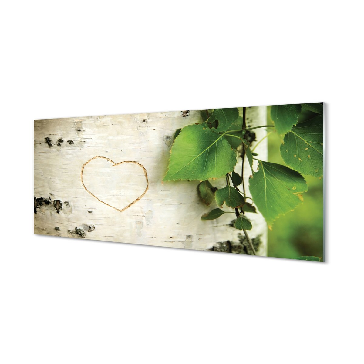 Szklany panel + klej Serce brzozy liście 125x50 cm