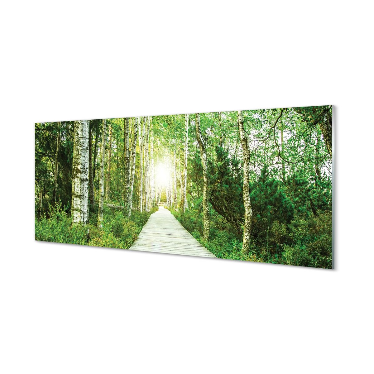 Płyta szklana Droga las drzewa brzozy 125x50 cm