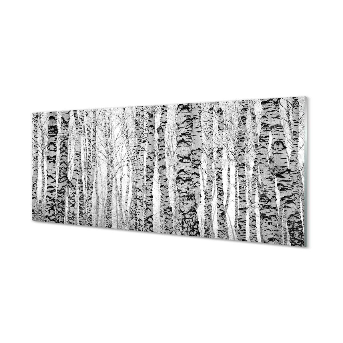 Szklany panel do kuchni Czarno-białe brzozy 125x50 cm