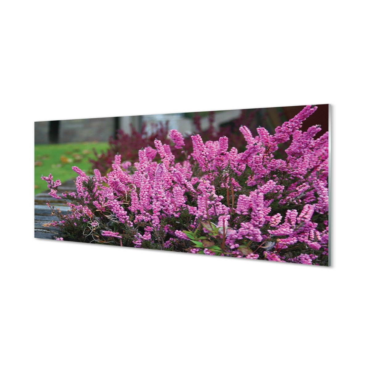 Foto panel kuchenny z grafiką + klej Wrzosy 125x50 cm