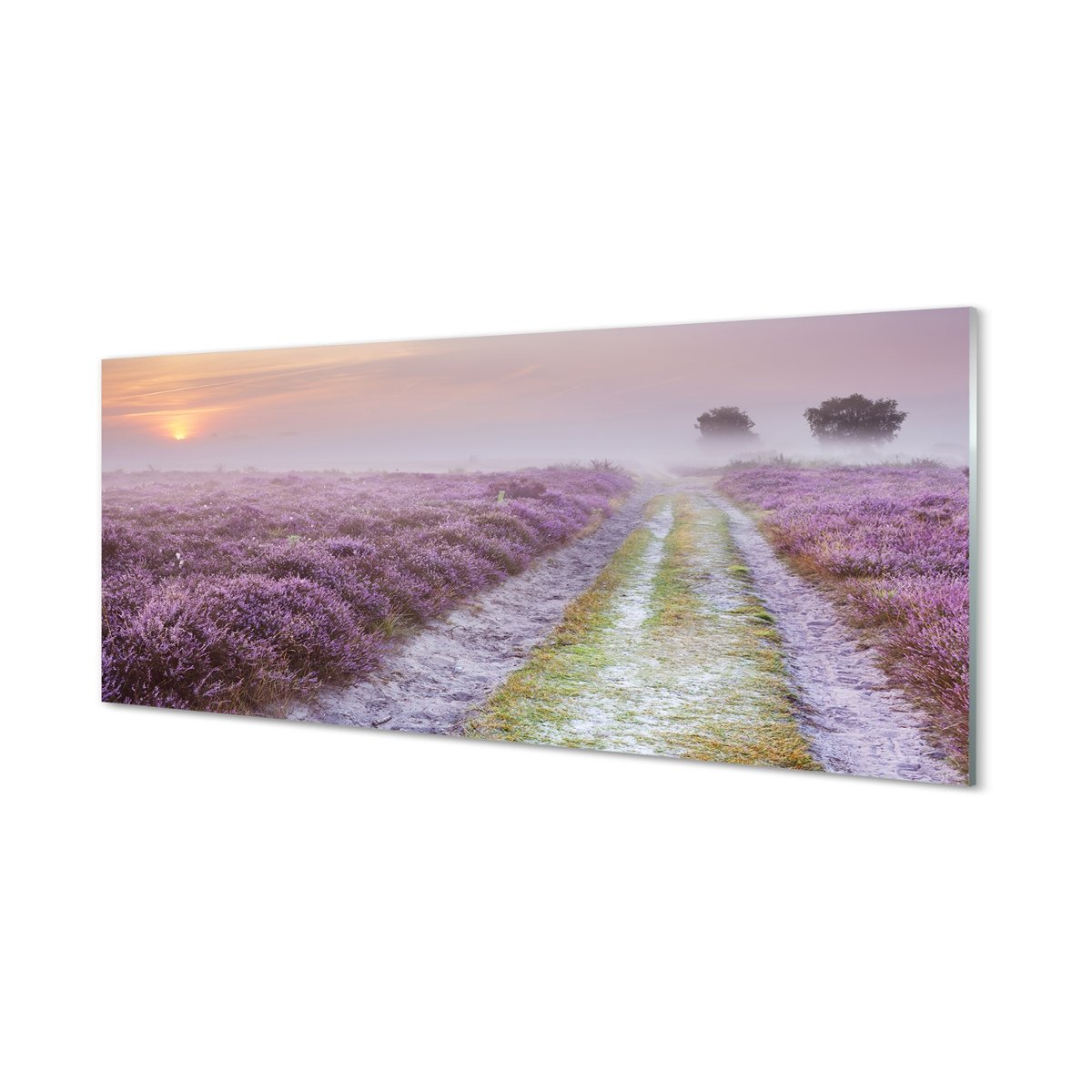 Ochronny panel do kuchni + klejPole wrzosy 125x50 cm