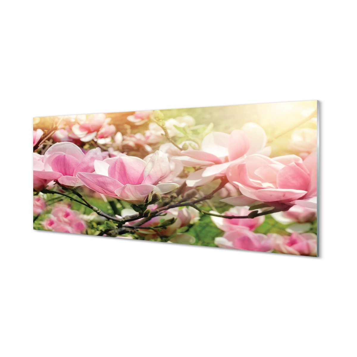 Foto panel kuchenny z grafiką + klej Kwiaty 125x50 cm
