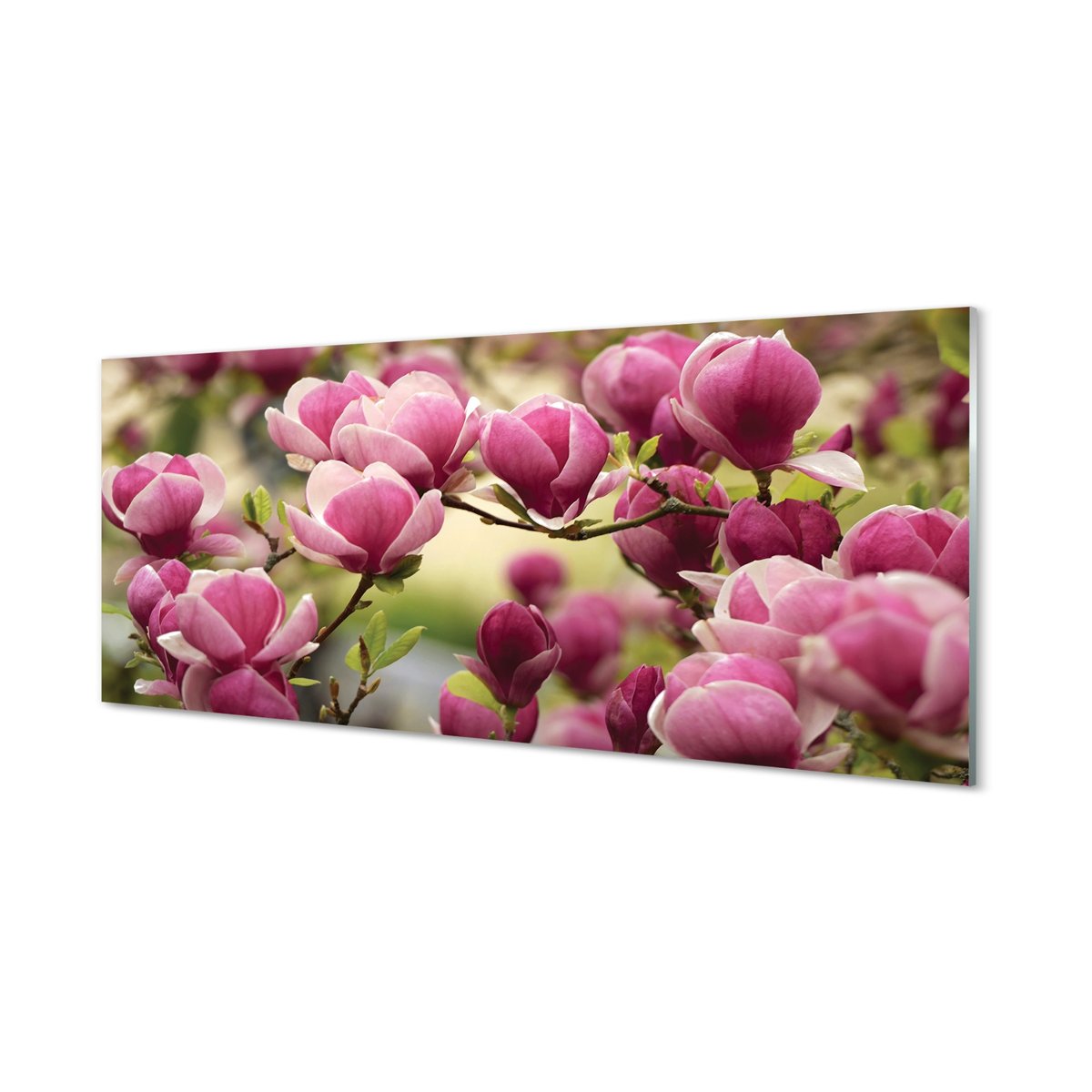 Panel szklany między szafki Kwiaty drzewa 125x50 cm