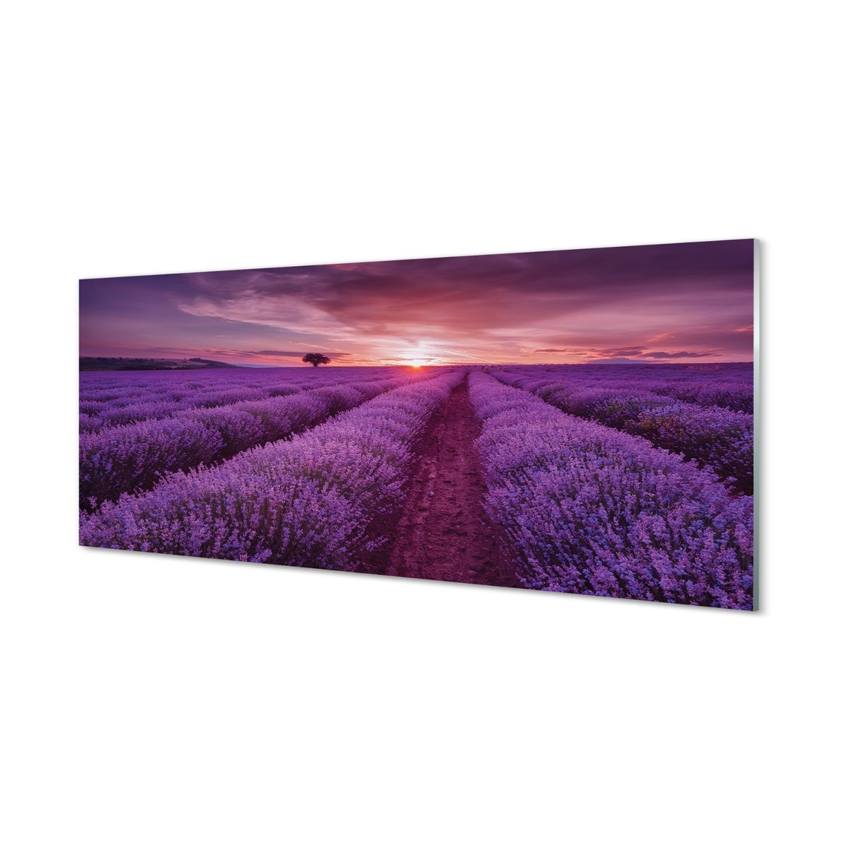 Ochronny panel do kuchni + klejPole wrzosy 125x50 cm