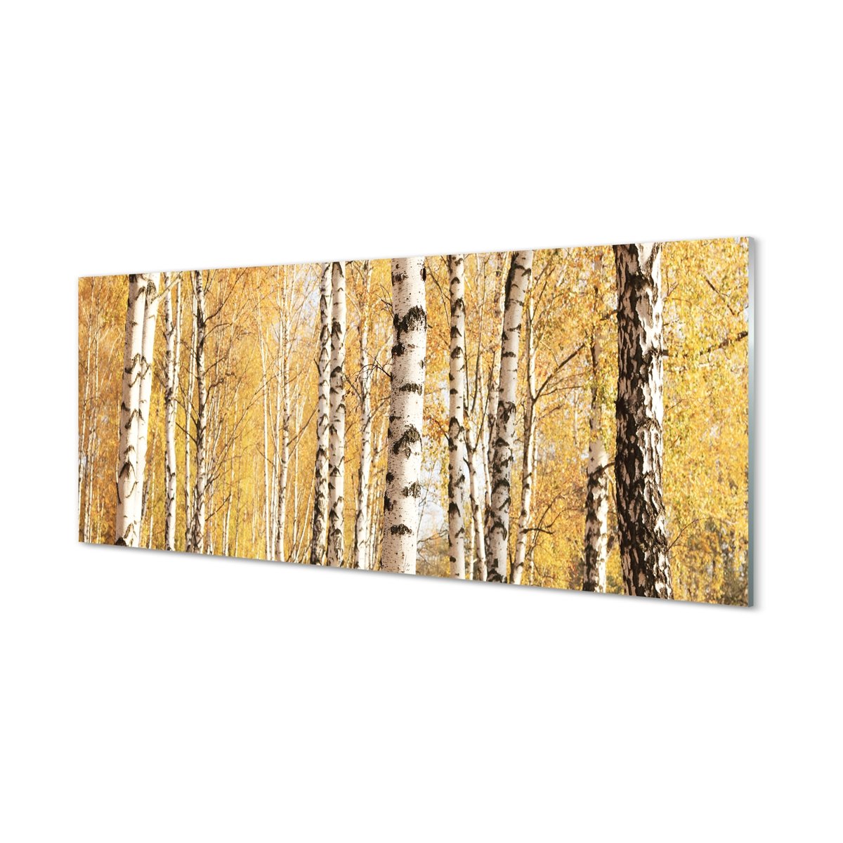 Szklany panel kuchenny + klej Jesień drzewa 125x50 cm