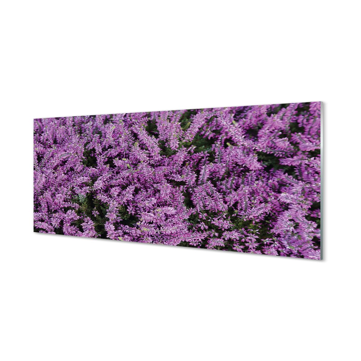 Nowoczesny panel szklany Fioletowe kwiaty 125x50 cm