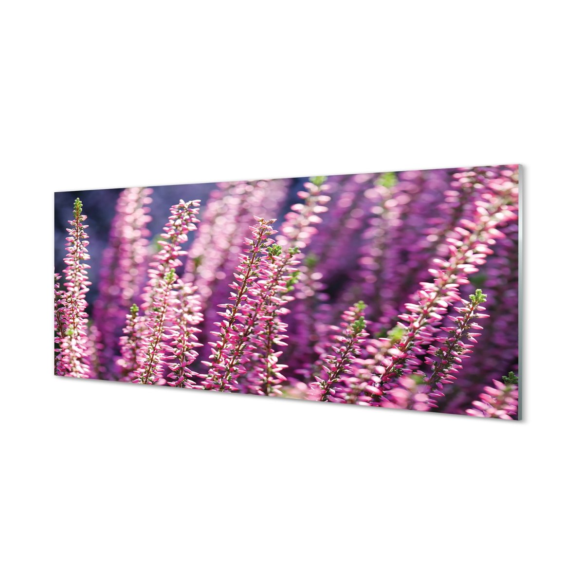 Foto panel kuchenny z grafiką + klej Kwiaty 125x50 cm