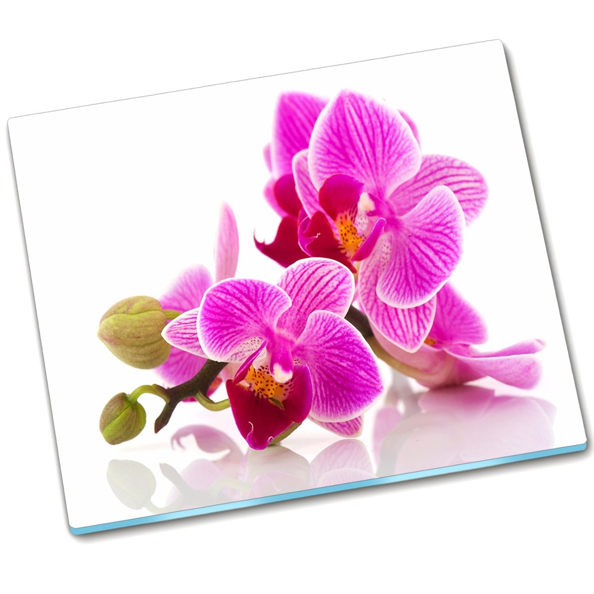 Płyta ochronna na indukcję Kwiaty orchidei - 60x52 cm